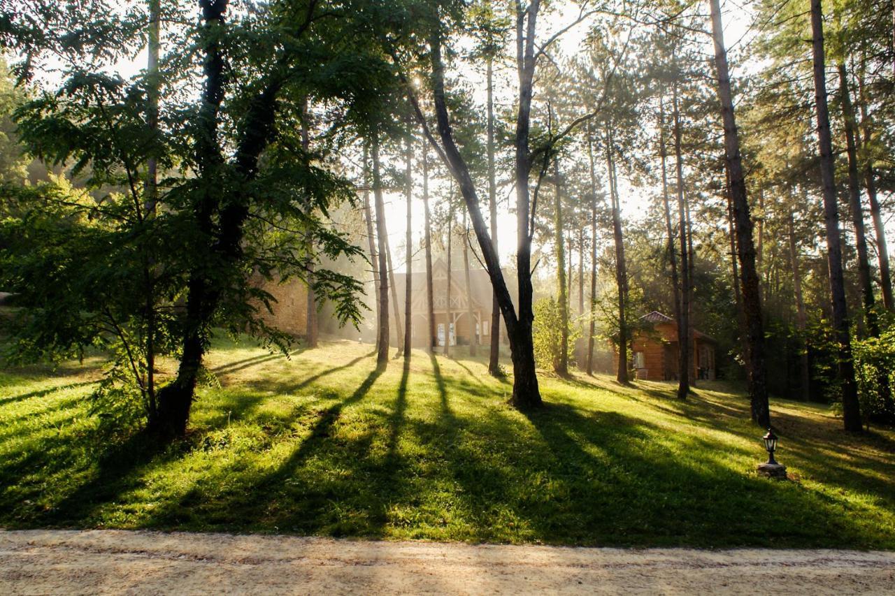 Вилла Au Pre De L'Arbre Сарла-ла-Канеда Экстерьер фото