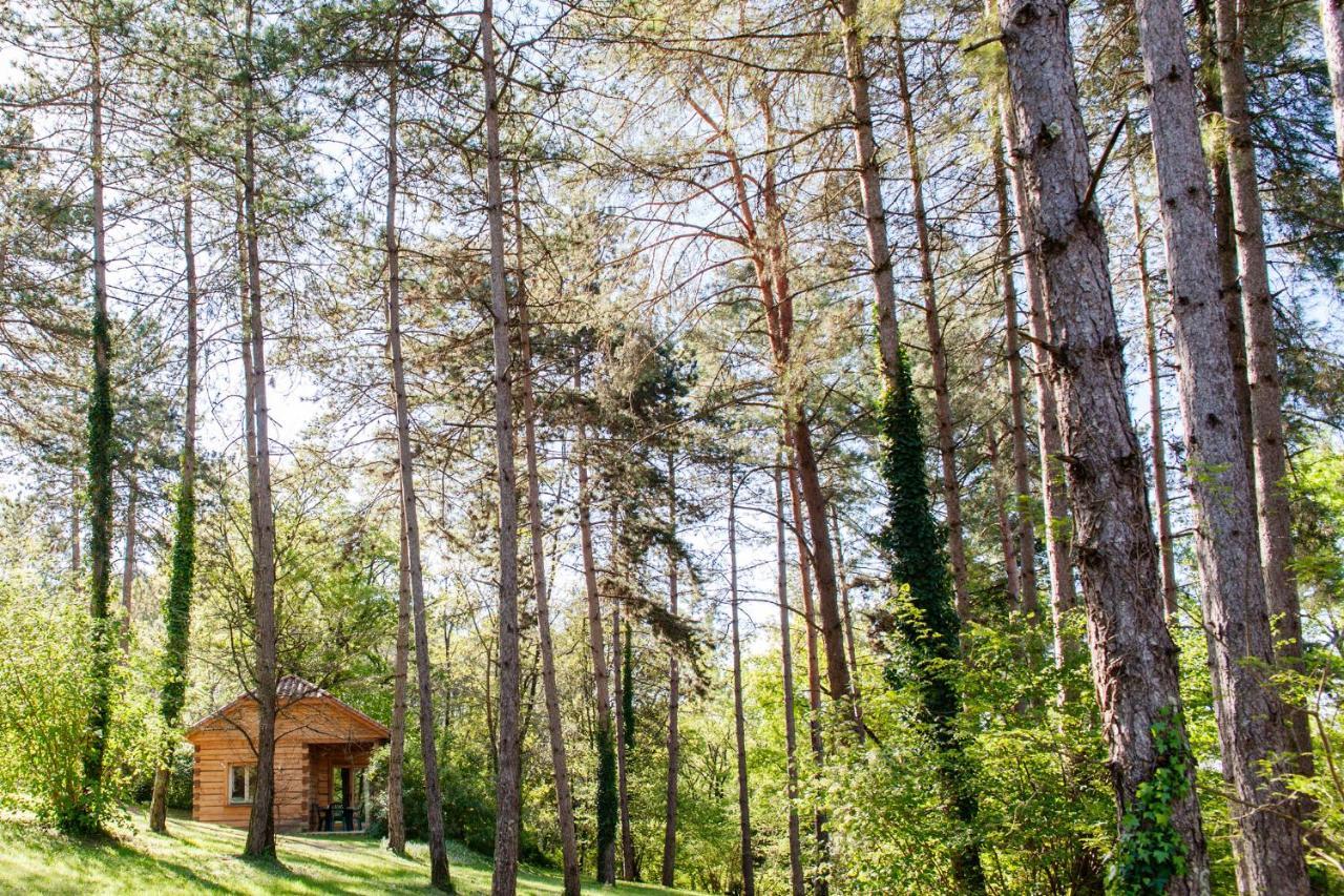 Вилла Au Pre De L'Arbre Сарла-ла-Канеда Экстерьер фото