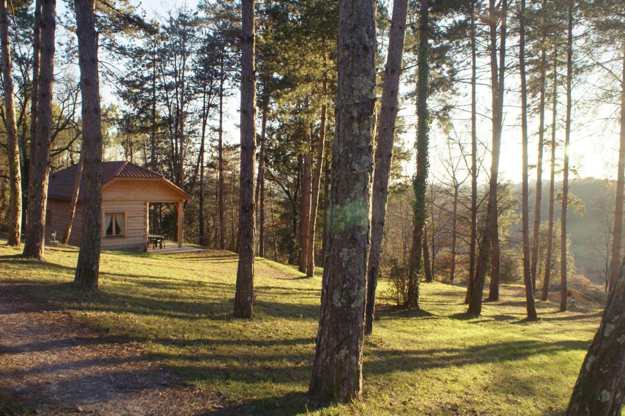 Вилла Au Pre De L'Arbre Сарла-ла-Канеда Экстерьер фото