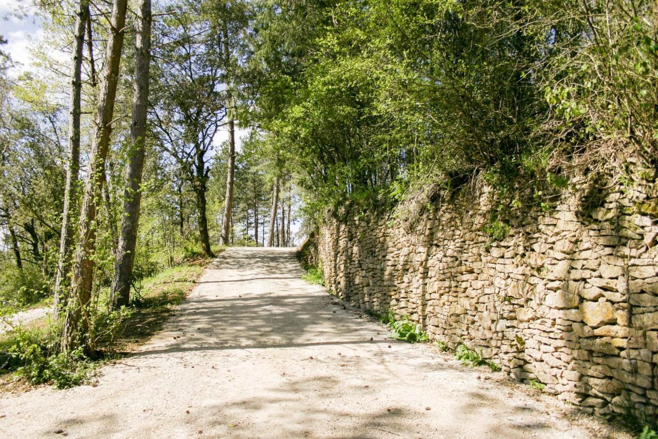 Вилла Au Pre De L'Arbre Сарла-ла-Канеда Экстерьер фото