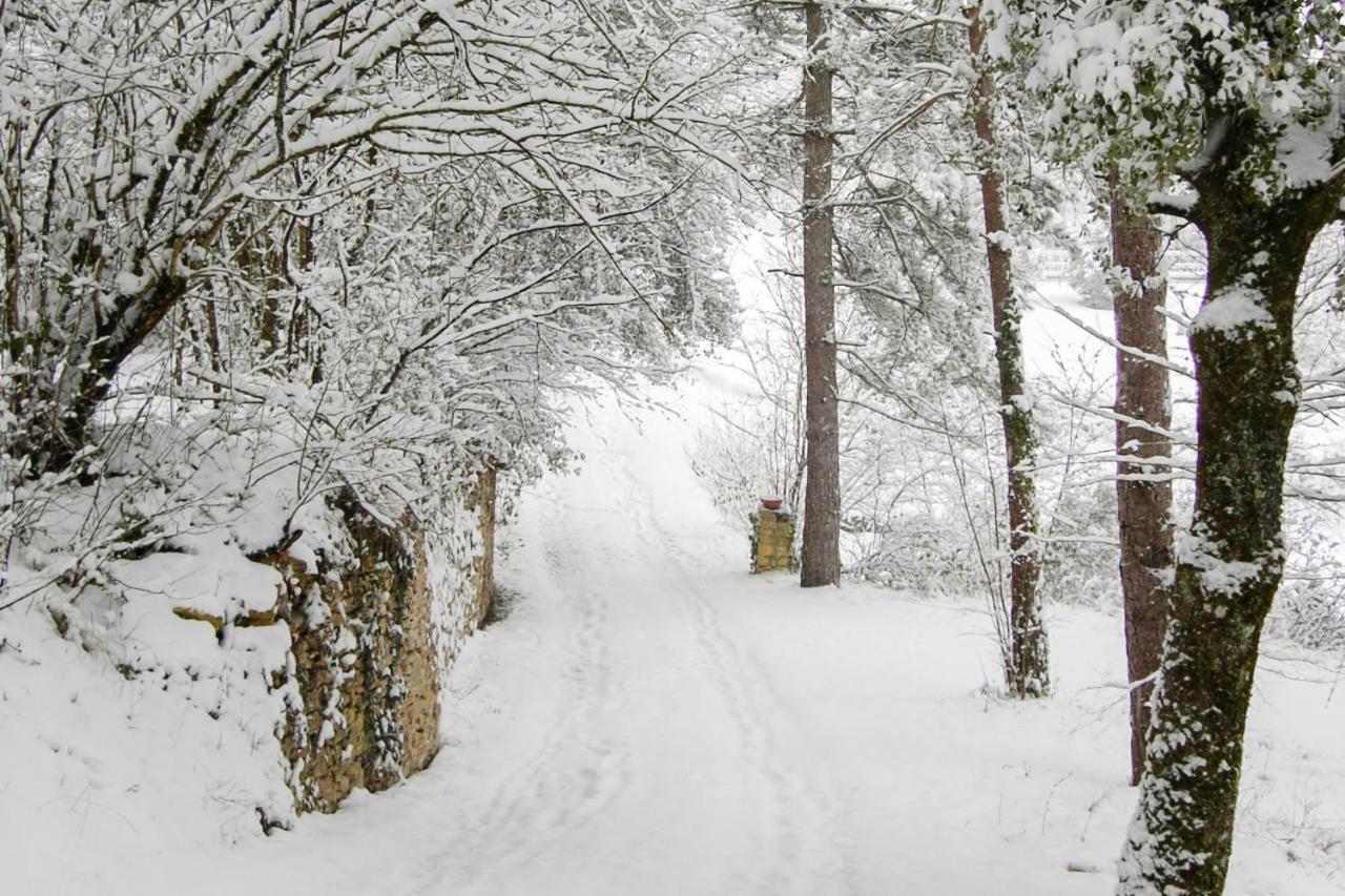 Вилла Au Pre De L'Arbre Сарла-ла-Канеда Экстерьер фото