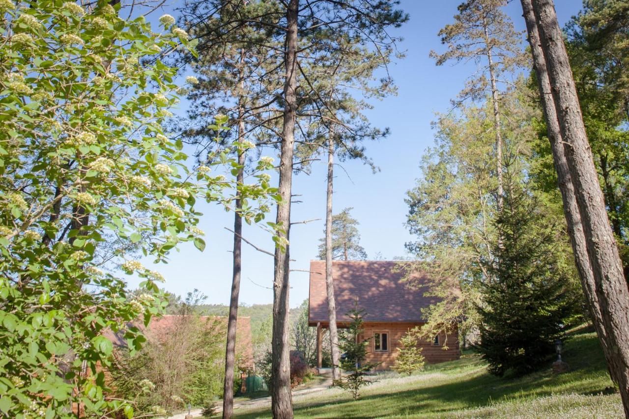 Вилла Au Pre De L'Arbre Сарла-ла-Канеда Экстерьер фото