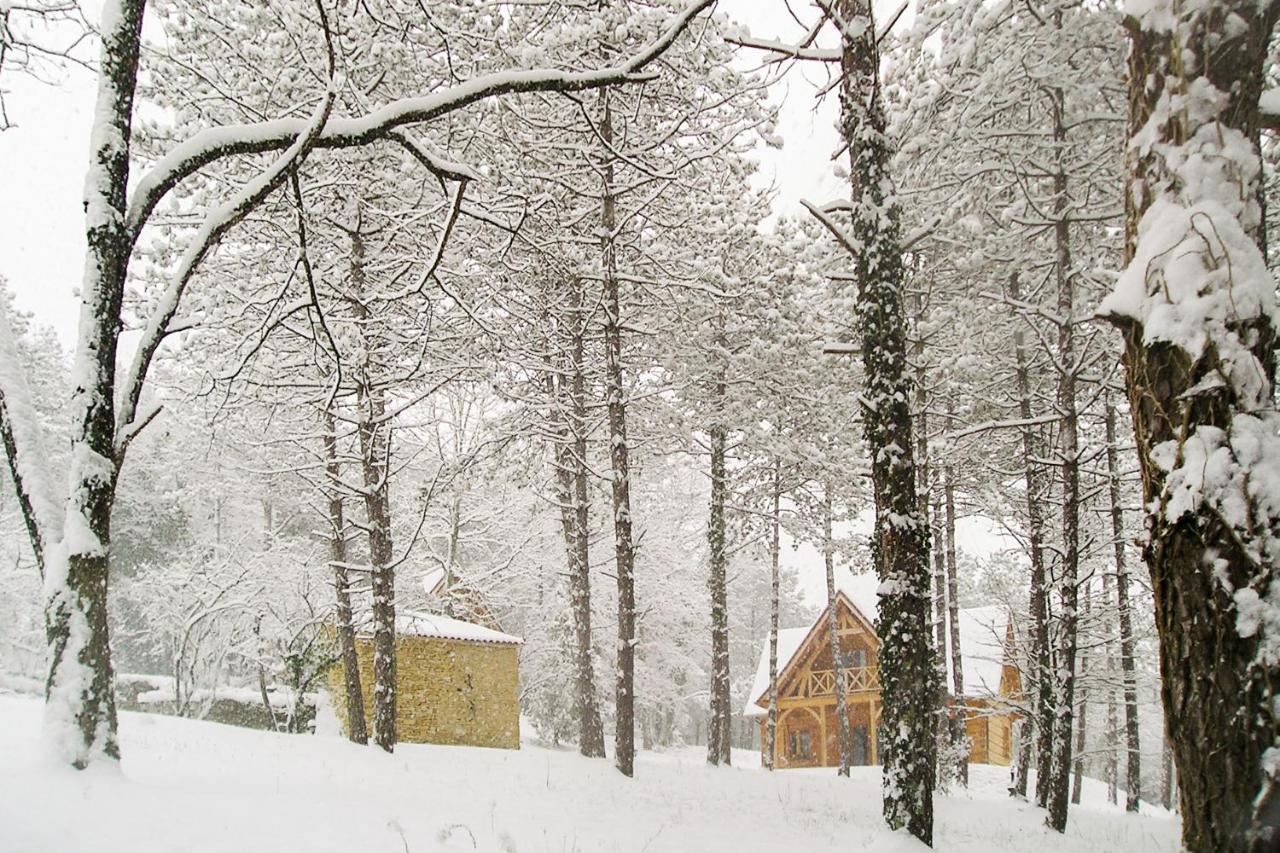 Вилла Au Pre De L'Arbre Сарла-ла-Канеда Экстерьер фото